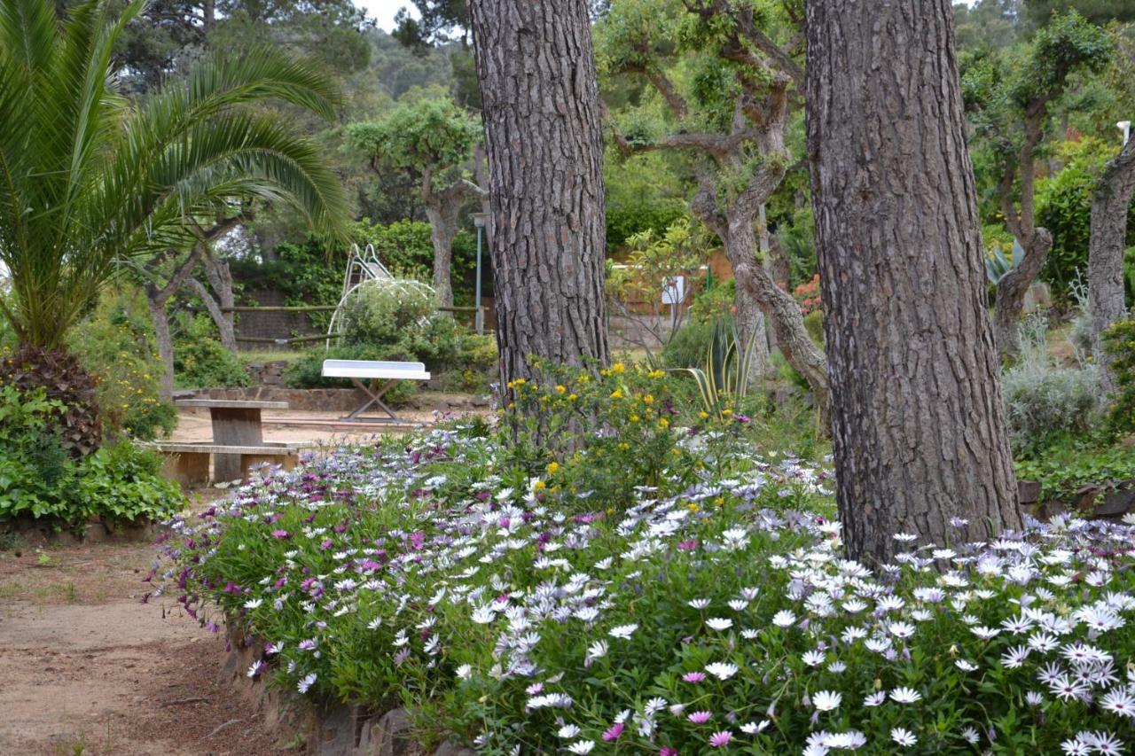 Apartamento Recien Reformado A 300 Metros Del Mar Calella De Palafrugell Kültér fotó