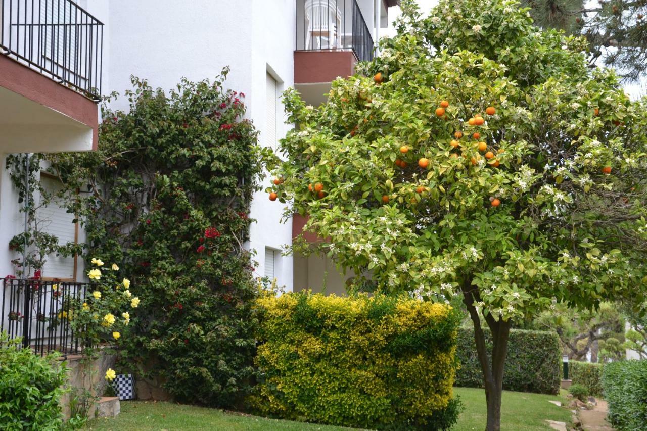Apartamento Recien Reformado A 300 Metros Del Mar Calella De Palafrugell Kültér fotó